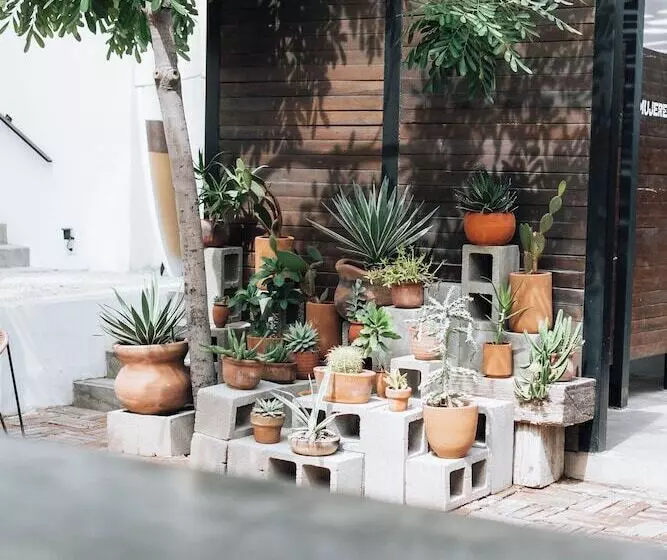 Drift San Jose Del Cabo, A Member Of Design Hotels