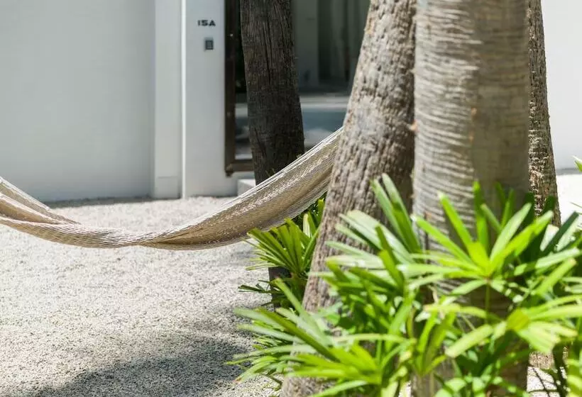 Drift San Jose Del Cabo, A Member Of Design Hotels