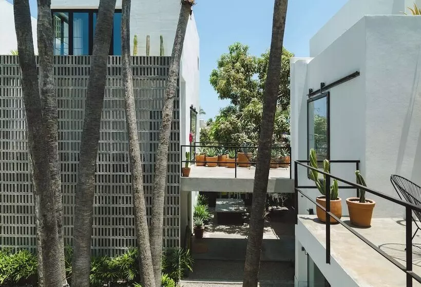 Drift San Jose Del Cabo, A Member Of Design Hotels