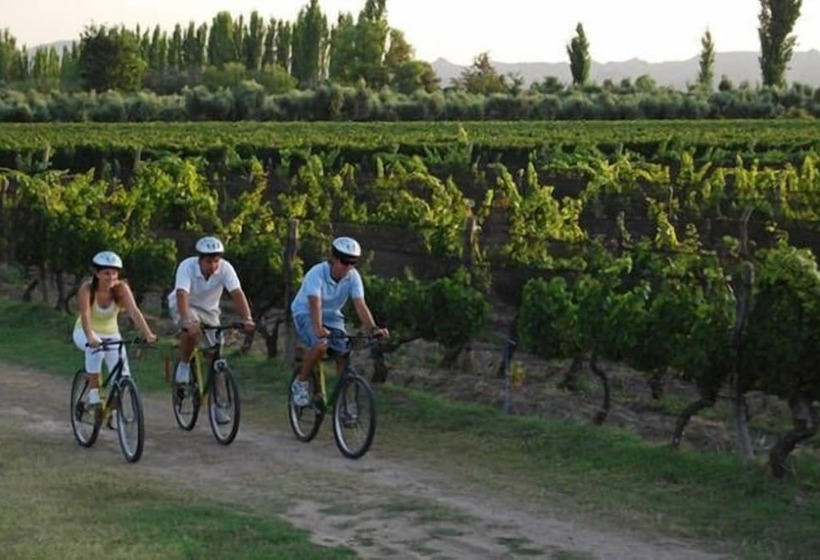 Hotel Apartamento Entre Viñedos