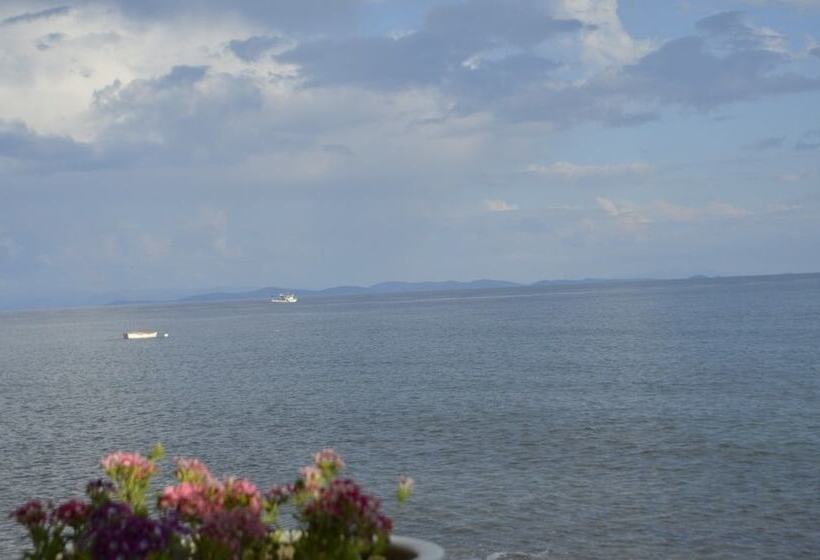 בית מלון כפרי Assos Sardunya Butik