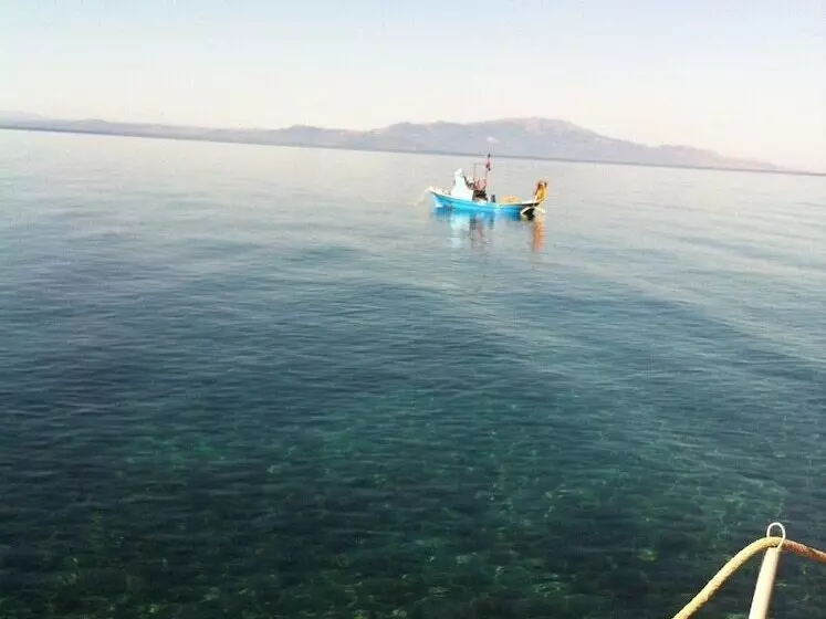 Hotelli Assos Sardunya Butik