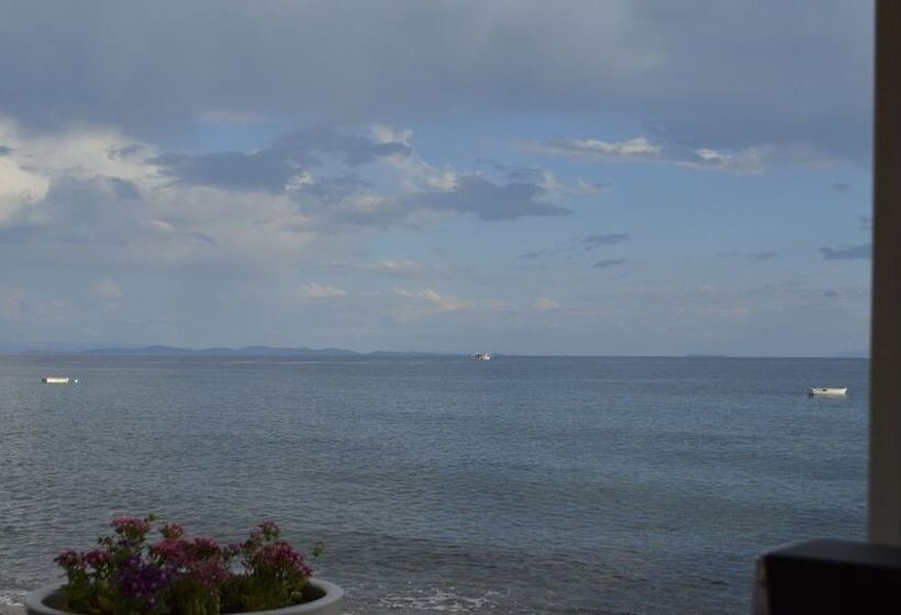 בית מלון כפרי Assos Sardunya Butik