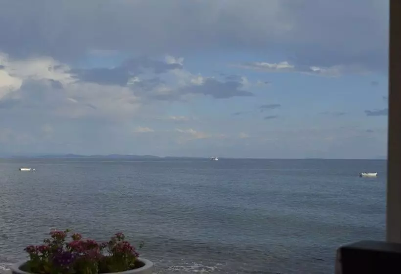 Hotelli Assos Sardunya Butik