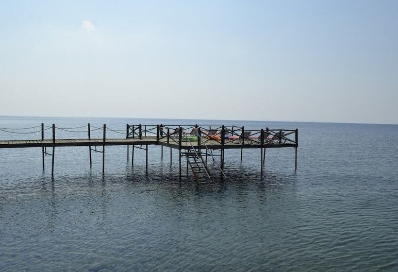 בית מלון כפרי Assos Sardunya Butik