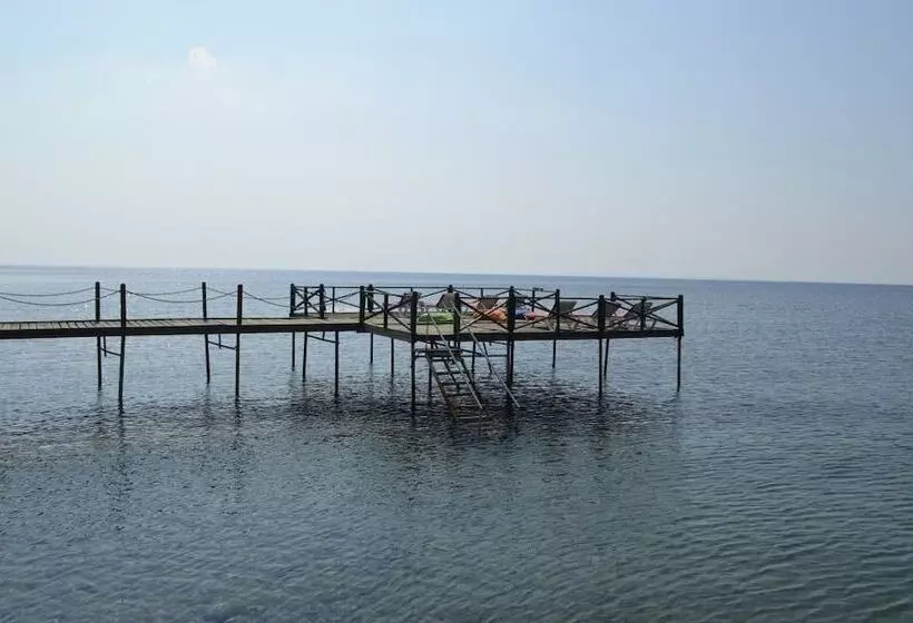 Hotelli Assos Sardunya Butik