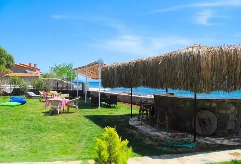 Hotelli Assos Sardunya Butik