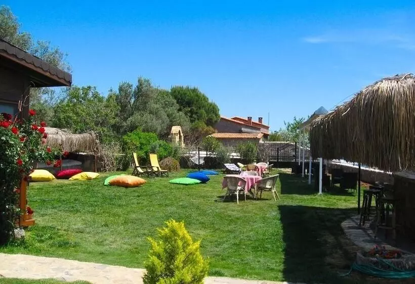 Hotelli Assos Sardunya Butik