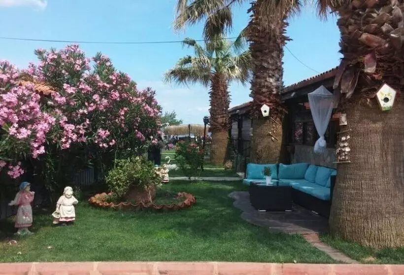 Hotelli Assos Sardunya Butik