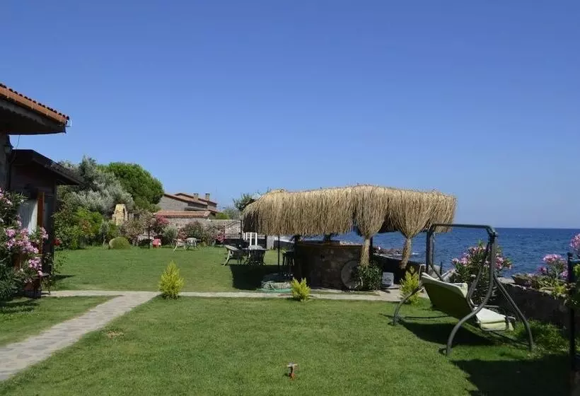 Hotelli Assos Sardunya Butik