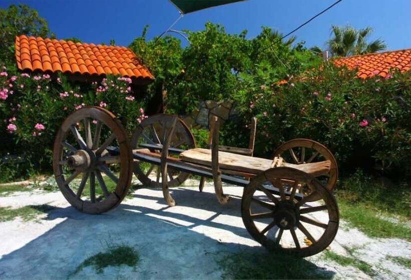 בית מלון כפרי Assos Sardunya Butik