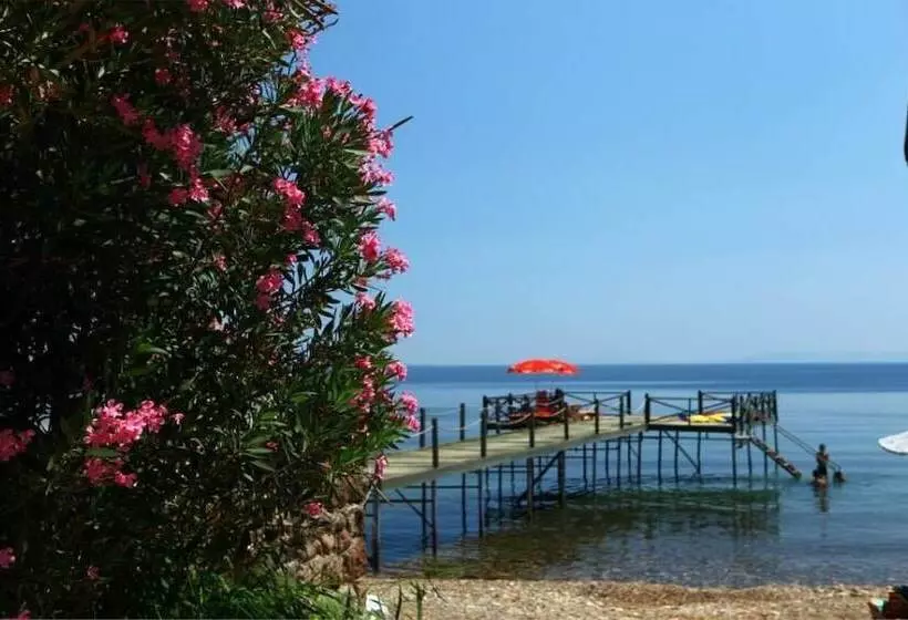 Hotelli Assos Sardunya Butik