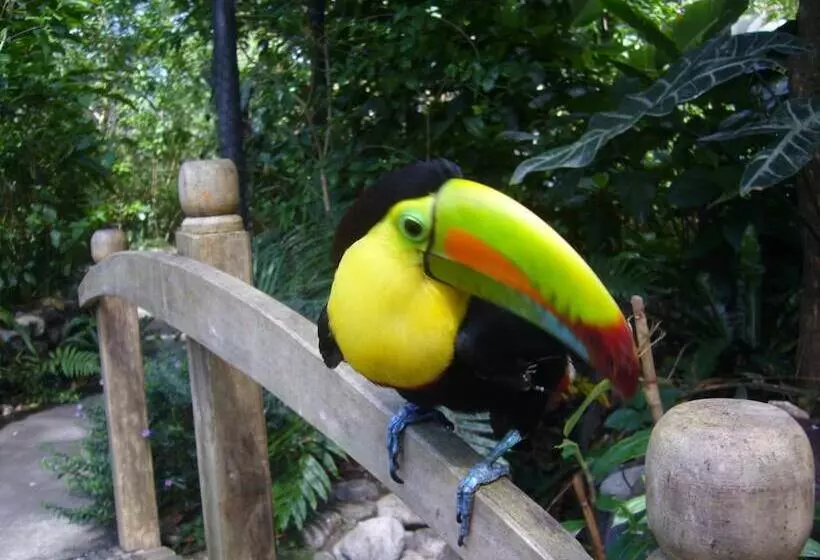 ホテル Coconut Grove Lodge