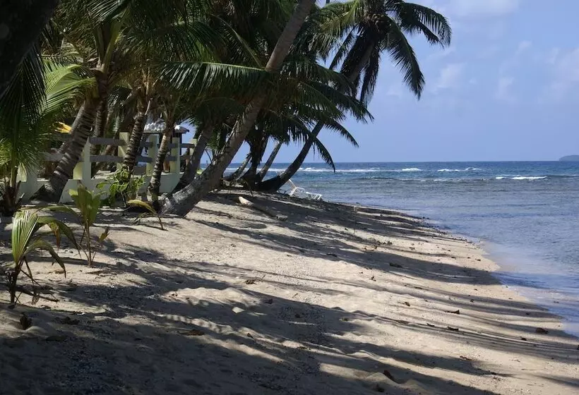 ホテル Coconut Grove Lodge