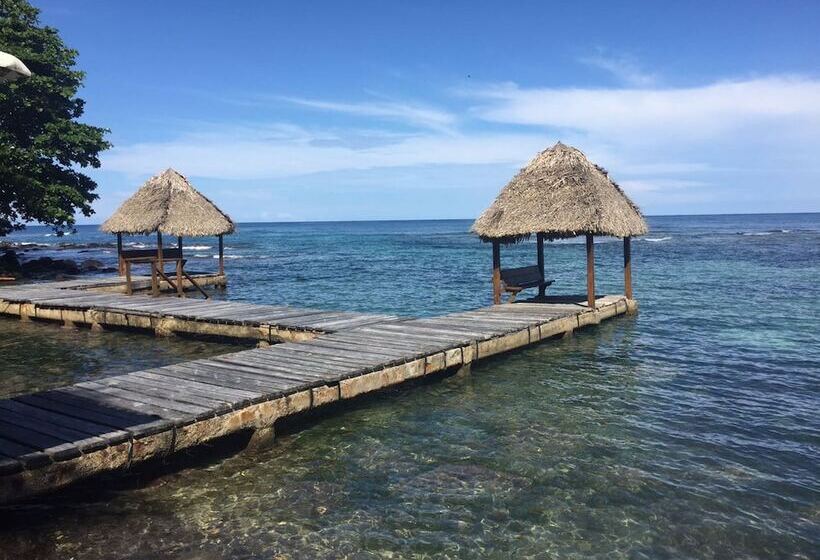 هتل Coconut Grove Lodge