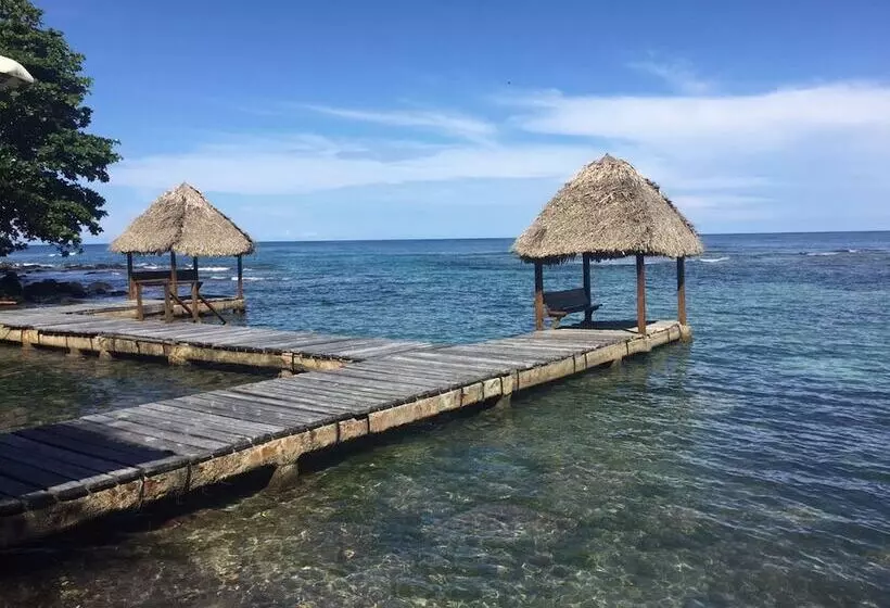 ホテル Coconut Grove Lodge