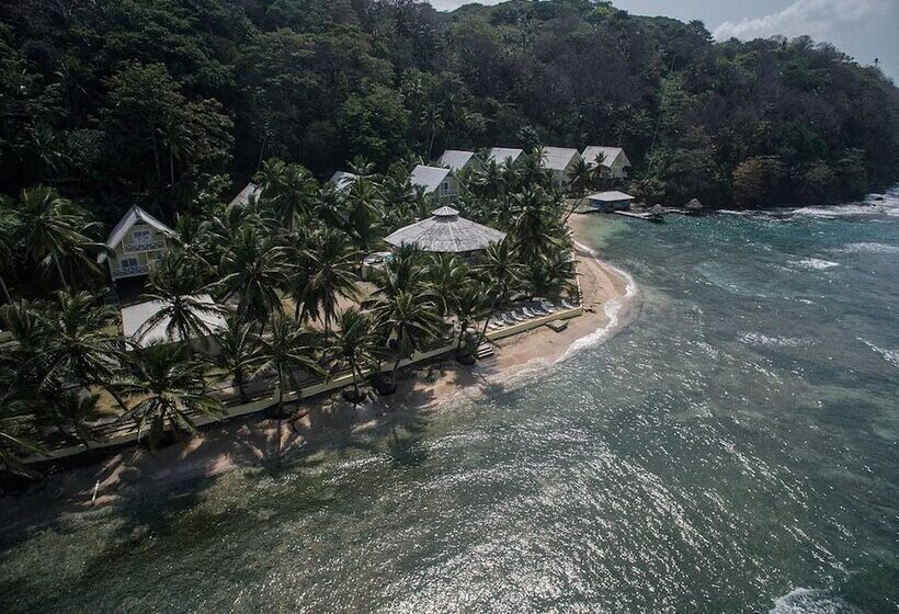 هتل Coconut Grove Lodge