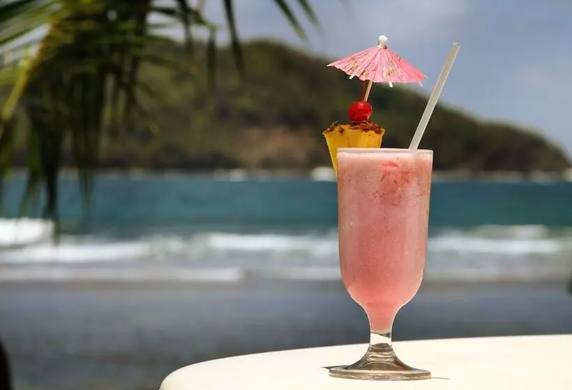 ホテル Coconut Grove Lodge