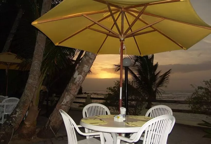 ホテル Coconut Grove Lodge