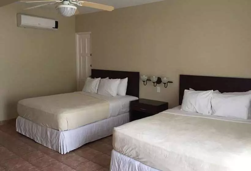 ホテル Coconut Grove Lodge