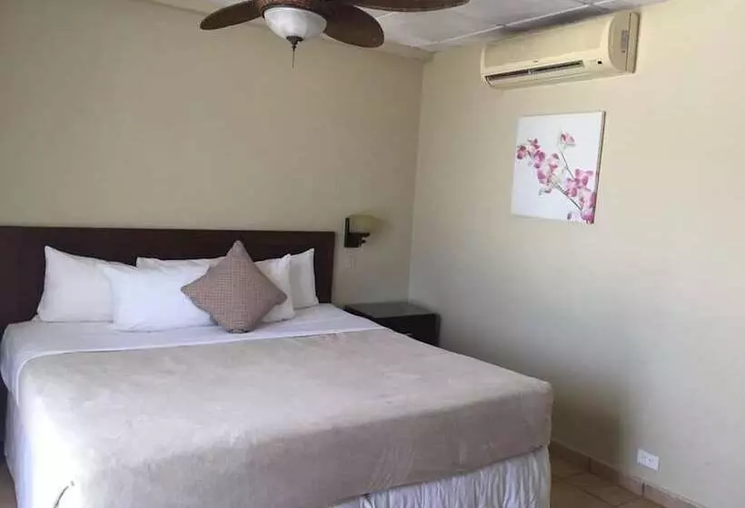 ホテル Coconut Grove Lodge