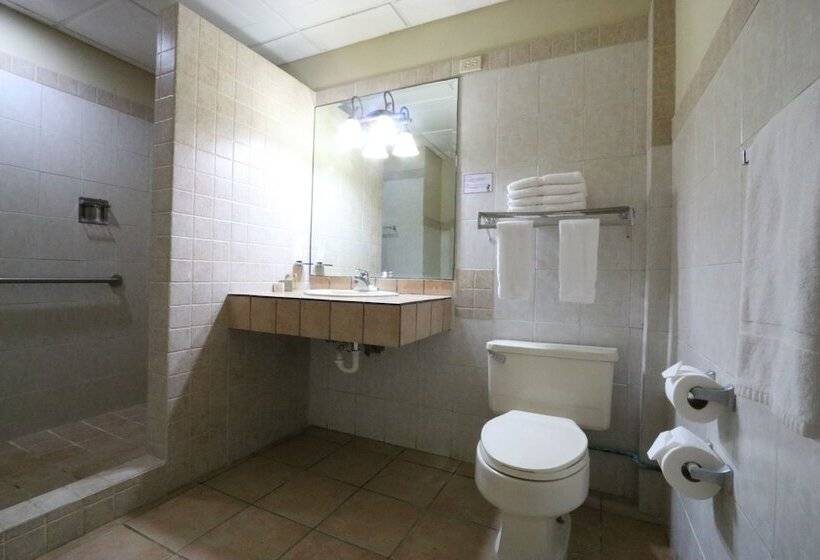 هتل Coconut Grove Lodge