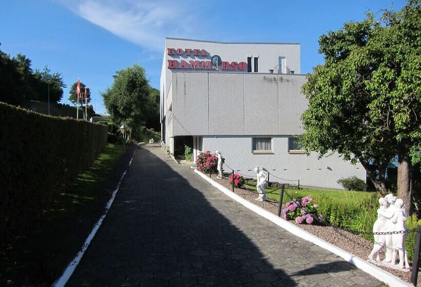 בית מלון כפרי Hammersø