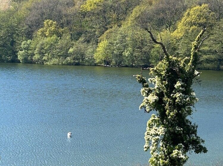 בית מלון כפרי Hammersø