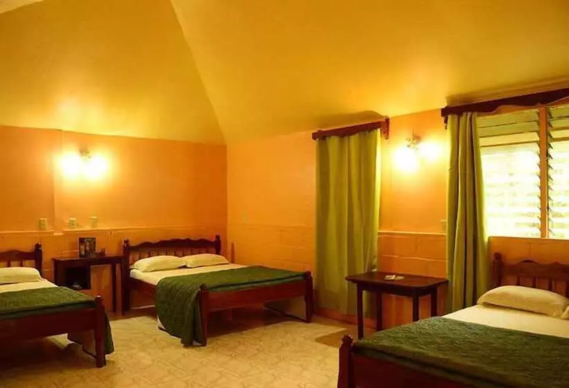 Hotelli Howler Monkey Resort