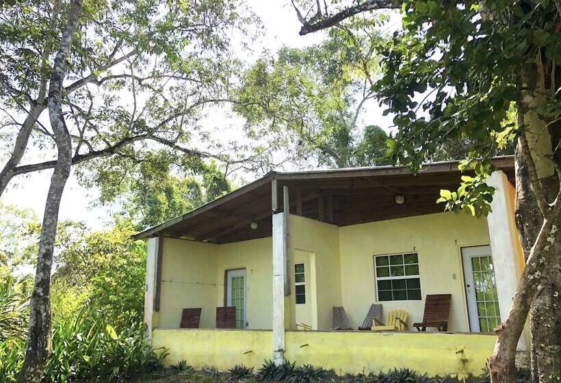 هتل Howler Monkey Resort