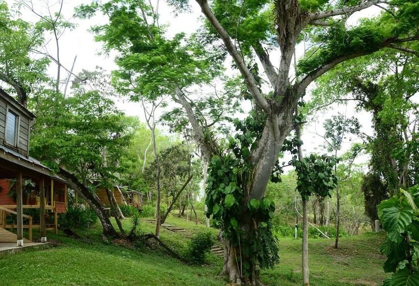 هتل Howler Monkey Resort