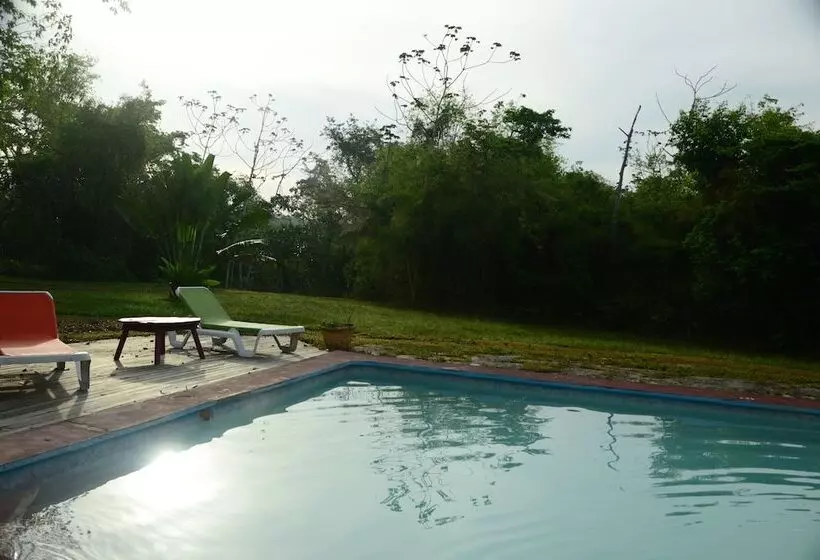 Hotelli Howler Monkey Resort