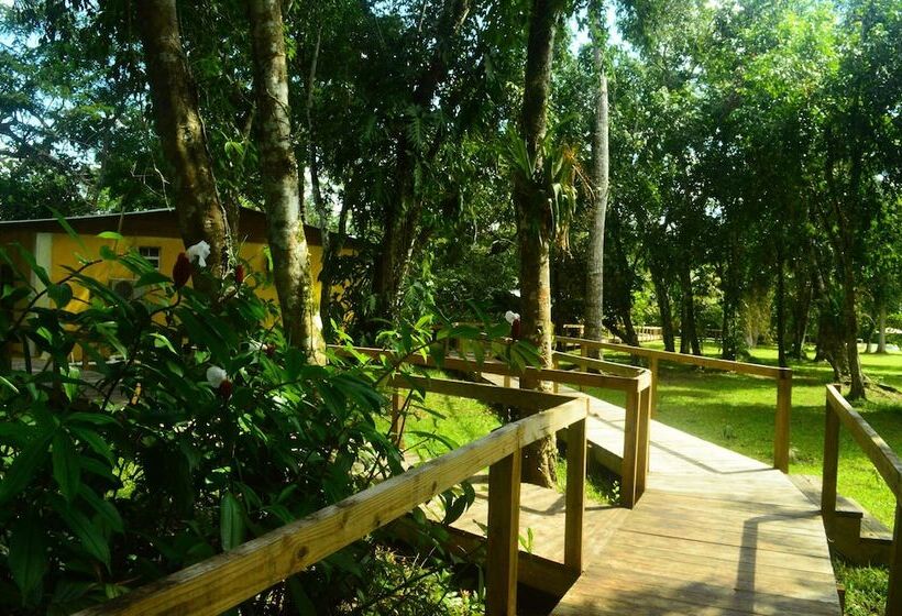 هتل Howler Monkey Resort