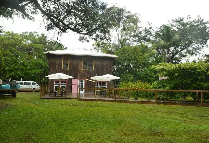 Hotelli Howler Monkey Resort