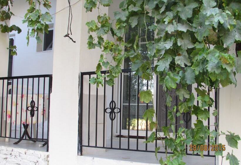 Отель Marti Pansiyon