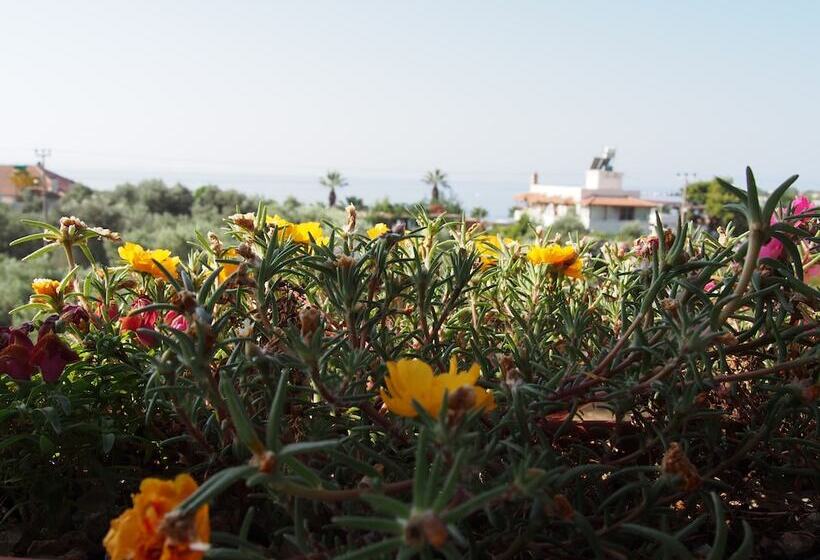 Отель Marti Pansiyon