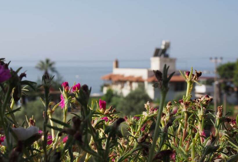 Отель Marti Pansiyon