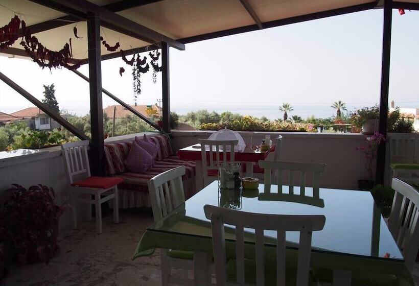 Отель Marti Pansiyon