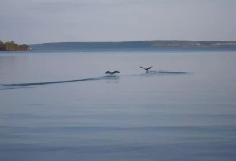 Hotelli Sikhalls Camping Och Restaurang