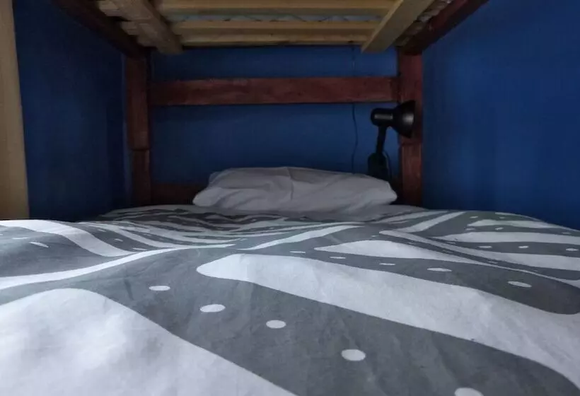 Maytenus Bed And Breakfast   Hostel