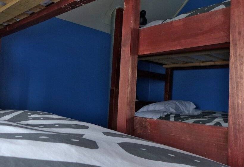 Maytenus Bed And Breakfast Hostel