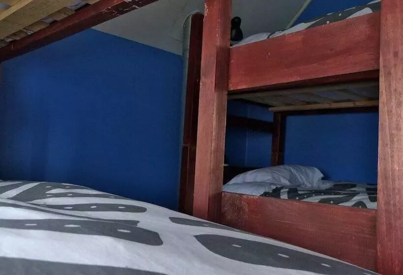 Maytenus Bed And Breakfast   Hostel