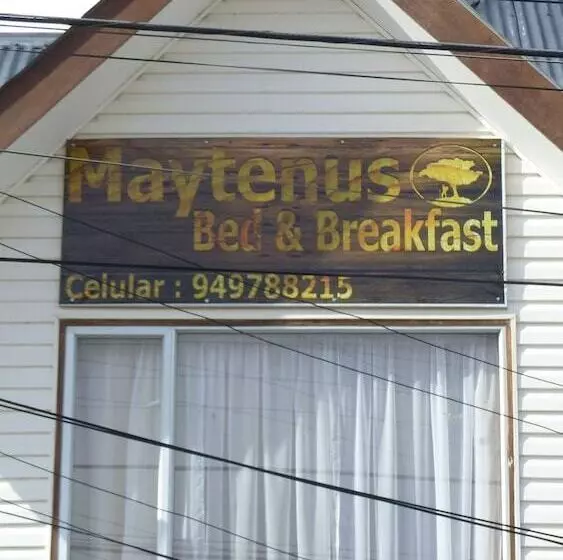 Maytenus Bed And Breakfast   Hostel
