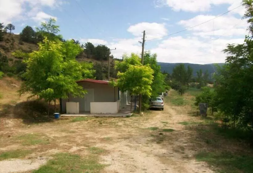 Pavlu Termal Otel