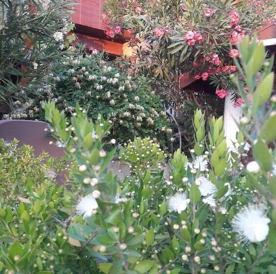 پانسیون Gokceada Uysallar Köy Evi