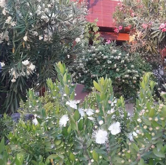 پانسیون Gokceada Uysallar Köy Evi