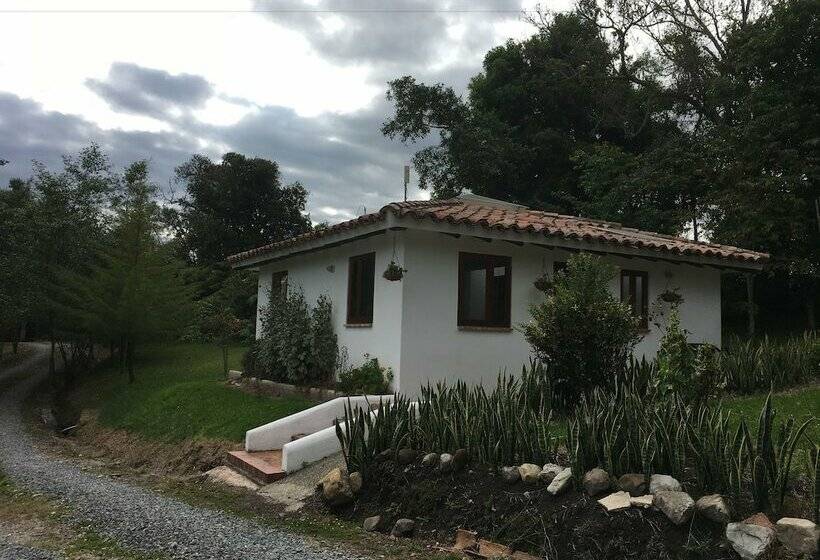 پانسیون Passadhi Guesthouse