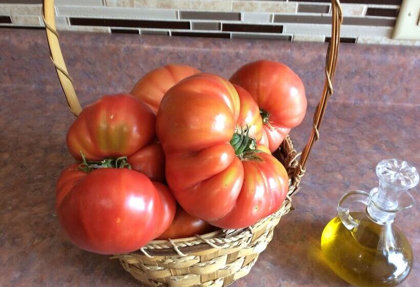 צימר Georgian Garden Inn