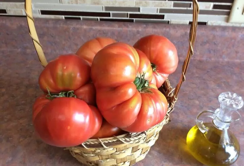 ベッドアンドブレックファースト Georgian Garden Inn