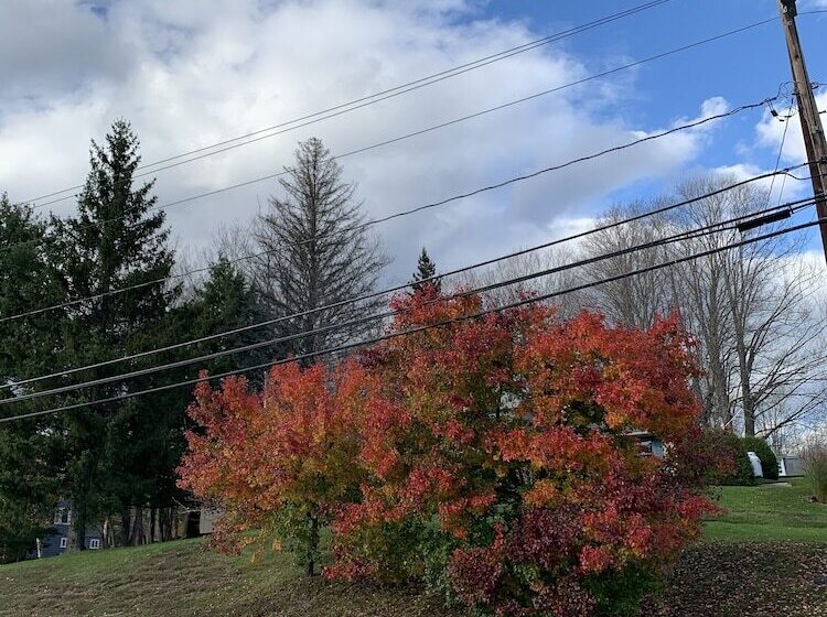 צימר Georgian Garden Inn